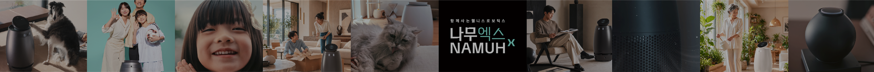 main_banner_bg